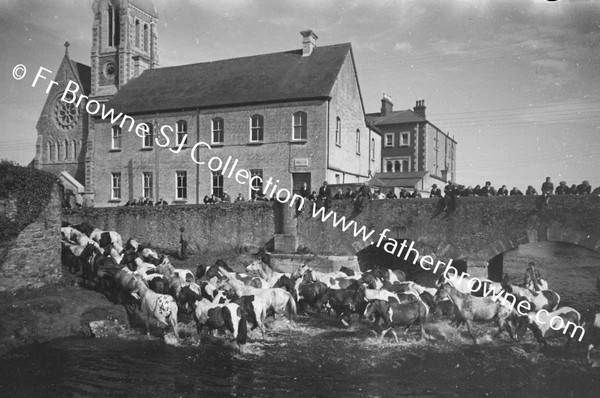 DUFFY'S CIRCUS WATERING THE HORSES IN THE RIVER